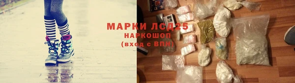 мет Касимов
