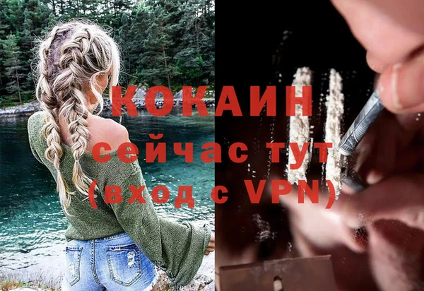 мет Касимов