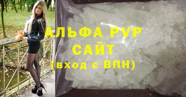 индика Кинешма