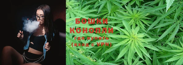мет Касимов