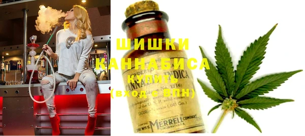 мет Касимов