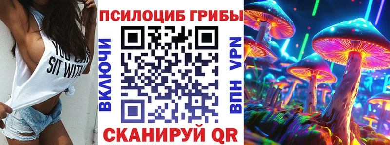 Галлюциногенные грибы Cubensis  Купить  Сусуман 